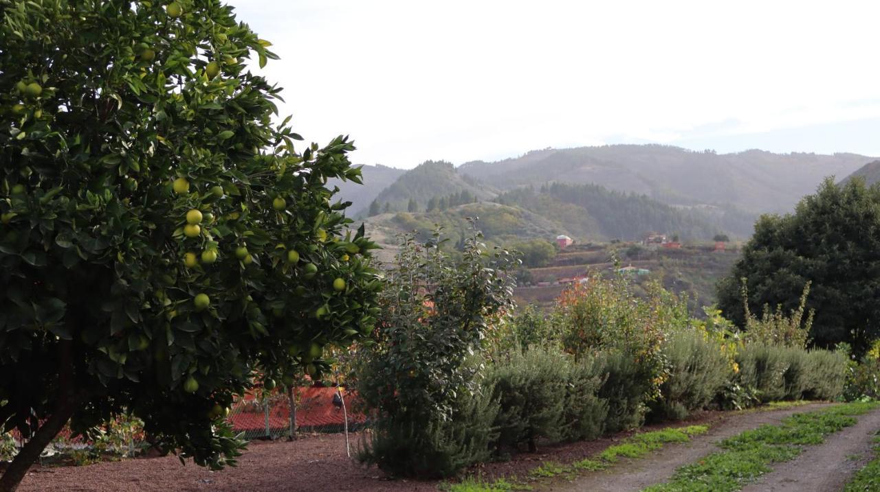 Casa Rural En San Mateo Las Palmas de Gran Canaria Luaran gambar